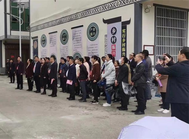 廣西兩高沿線鄉(xiāng)村風(fēng)貌工程巴馬縣城改造項目選用金洋水性平涂